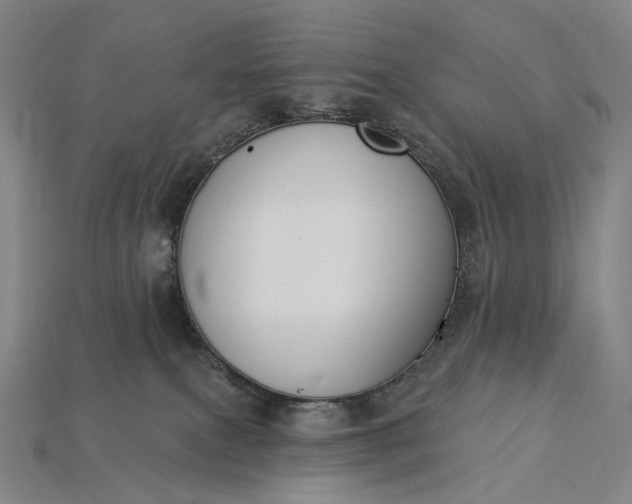 X0000115230087200911131652