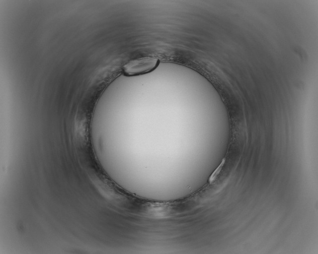 X0000115230088200911131652