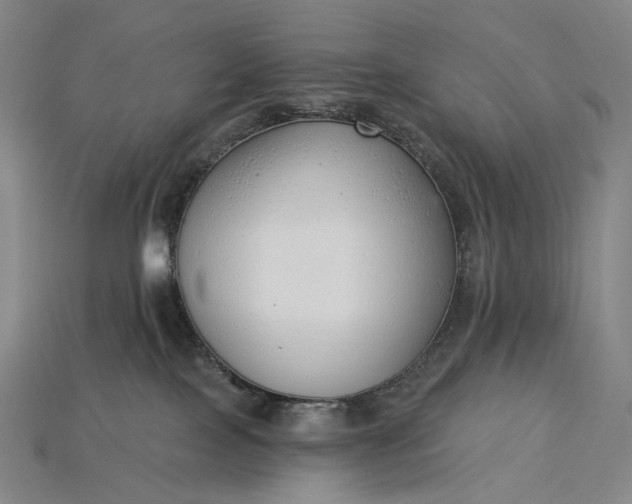 X0000115230089200911131652