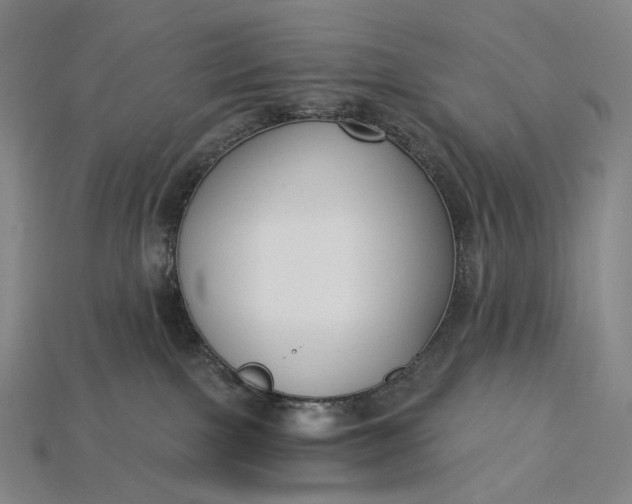 X0000115230091200911131652