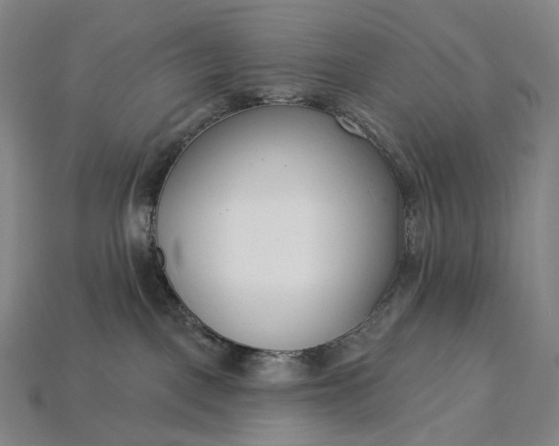 X0000115230093200911131652