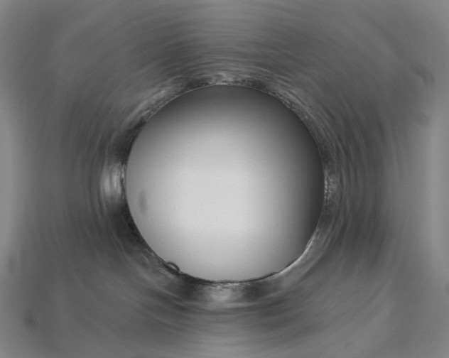 X0000115230094200911131652