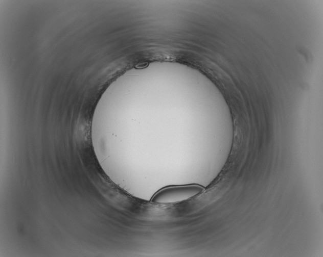 X0000115230096200911131652