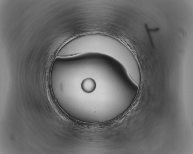 X0000115230097200911131652