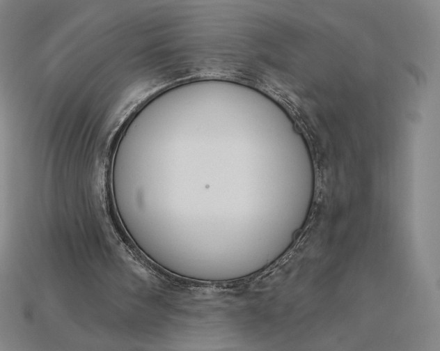 X0000115230098200911131652