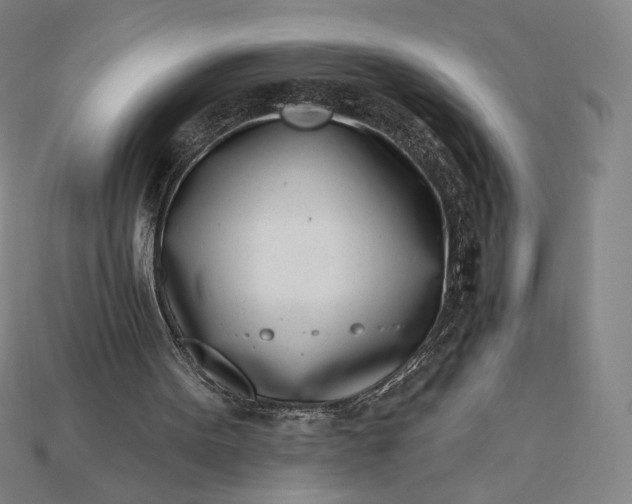 X0000115230099200911131652