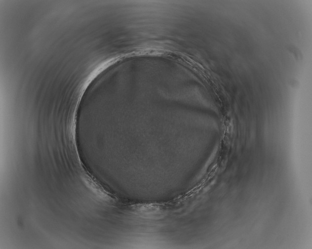 X0000115230100200911131652