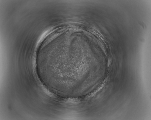 X0000115230101200911131652