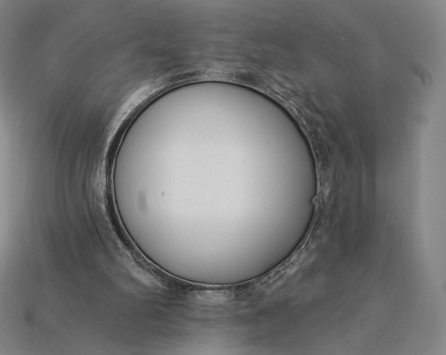 X0000115230102200911131652