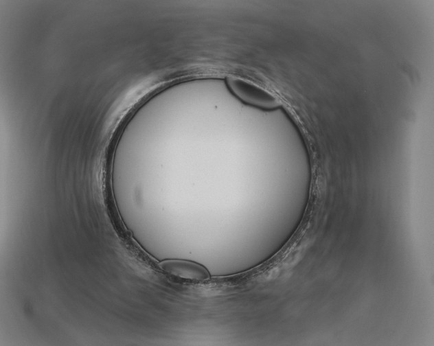 X0000115230103200911131652