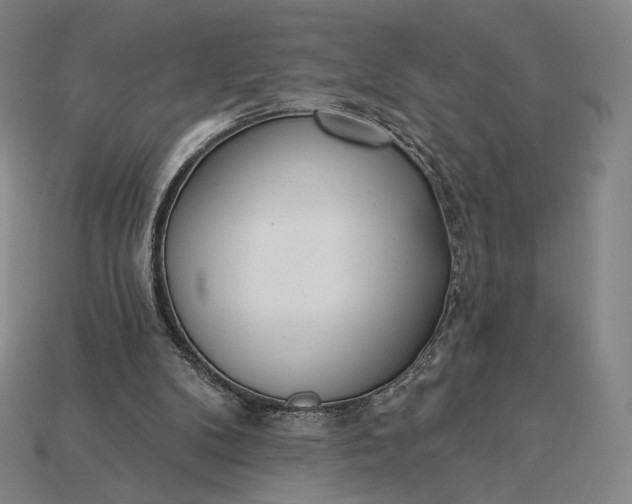 X0000115230104200911131652