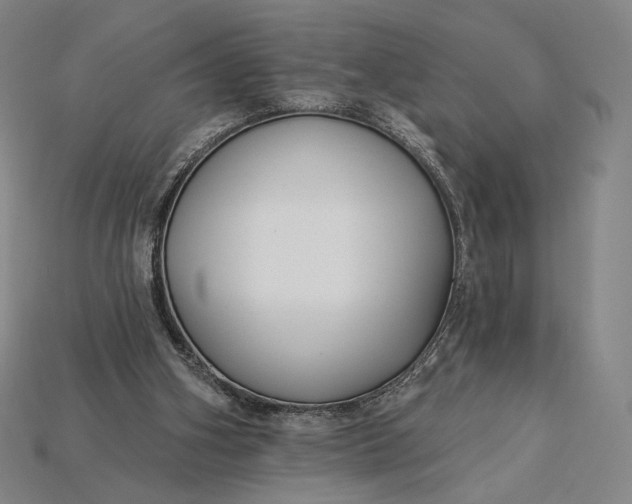 X0000115230106200911131652