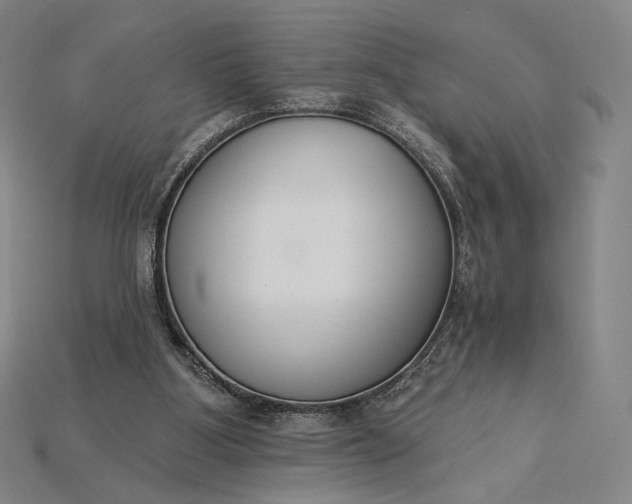 X0000115230107200911131652