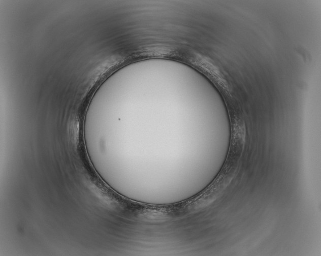 X0000115230110200911131652