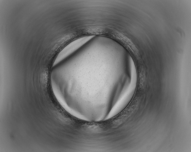 X0000115230113200911131651