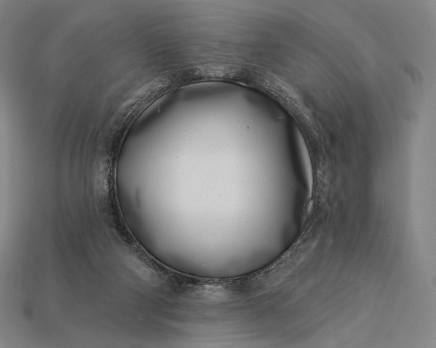 X0000115230114200911131651