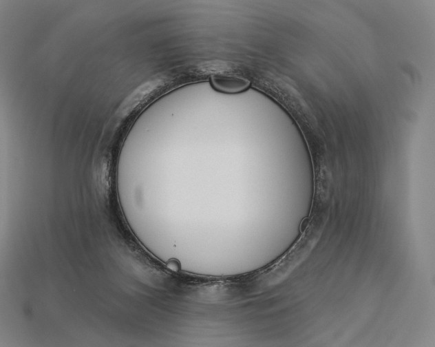 X0000115230116200911131651