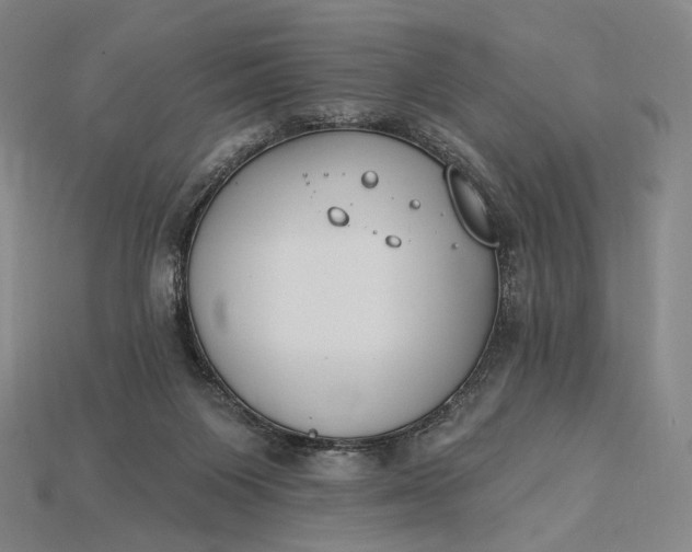 X0000115230119200911131651