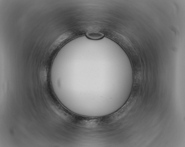 X0000115230120200911131651