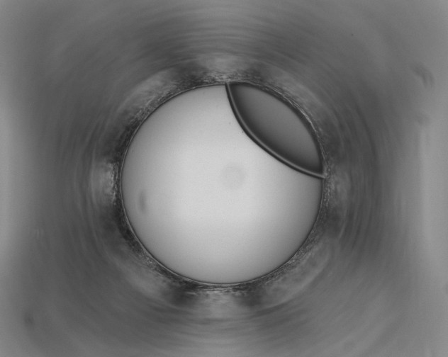 X0000115230121200911131651