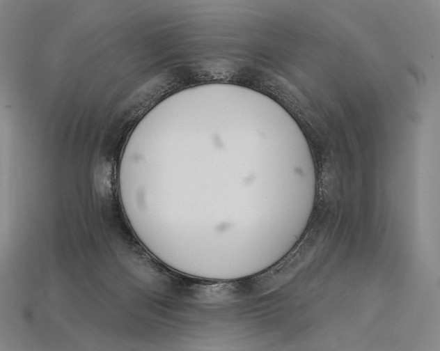 X0000115230122200911131651