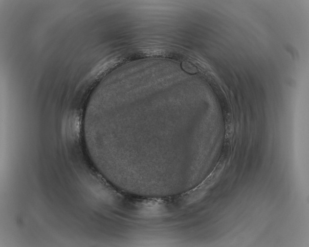 X0000115230124200911131651