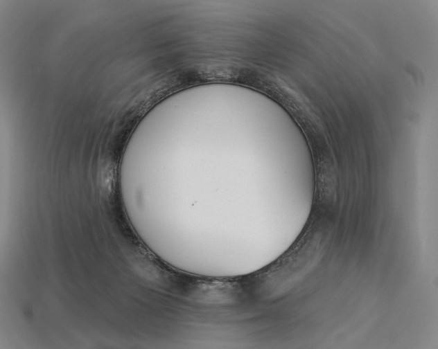 X0000115230125200911131651