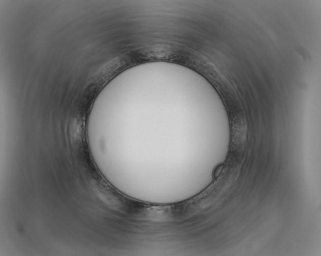 X0000115230126200911131651