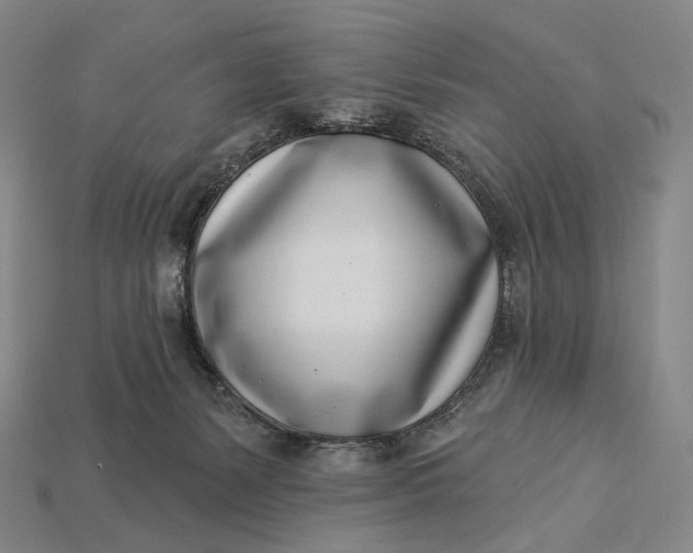 X0000115230127200911131651