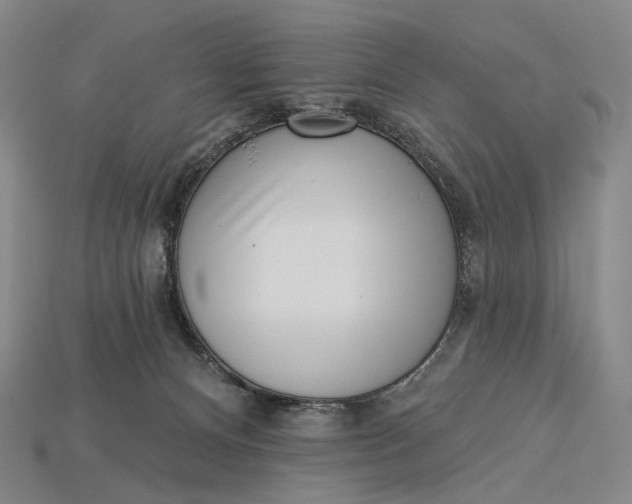 X0000115230128200911131651