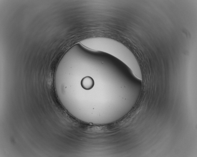 X0000115230129200911131651