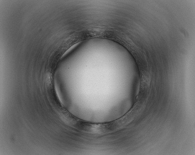 X0000115230130200911131651