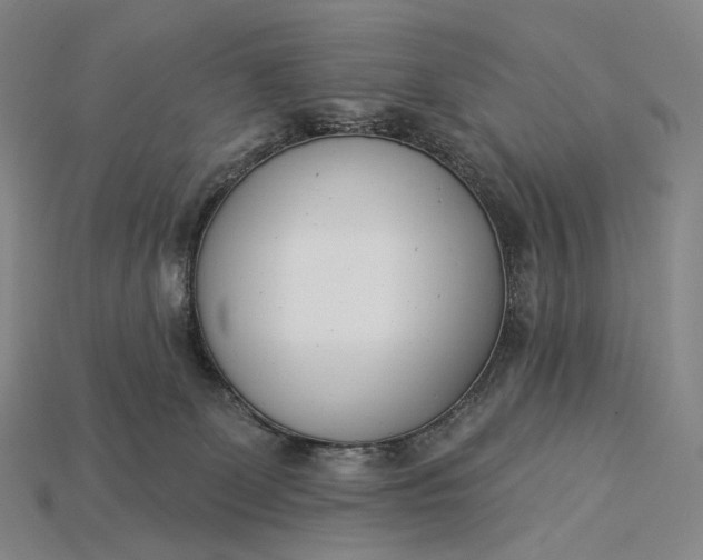 X0000115230131200911131651