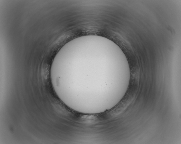 X0000115230133200911131651