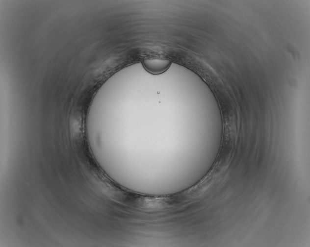 X0000115230134200911131651