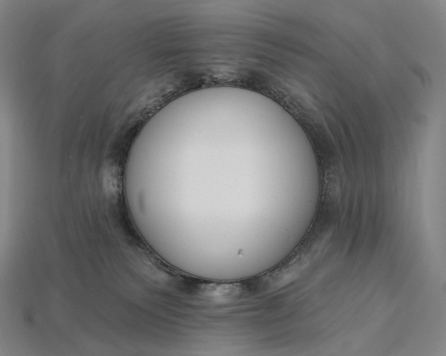 X0000115230135200911131651