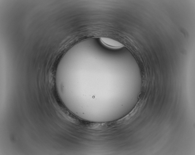 X0000115230136200911131651