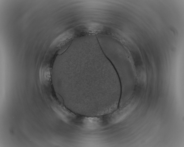 X0000115230137200911131651