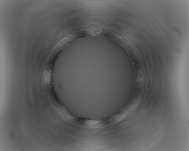 X0000115230139200911131651