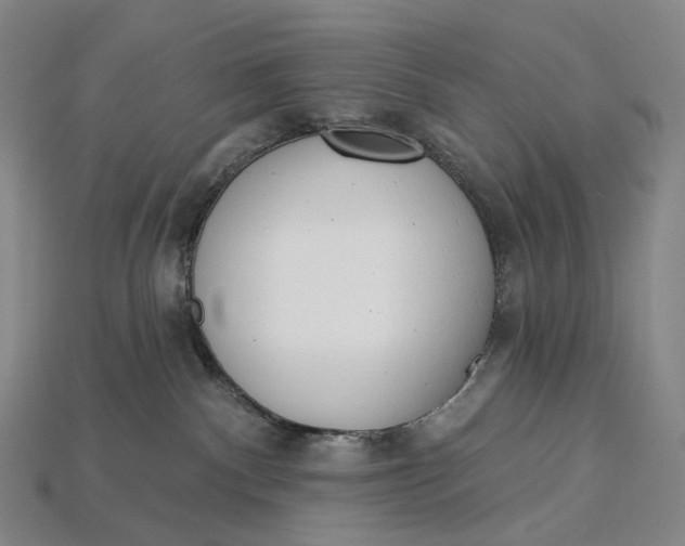 X0000115230140200911131651