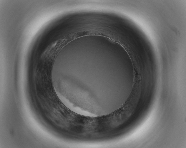 X0000115230143200911131651