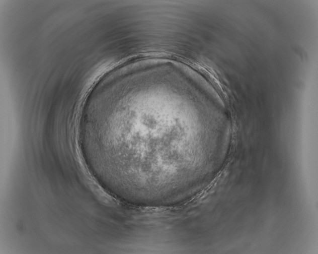 X0000115230145200911131650