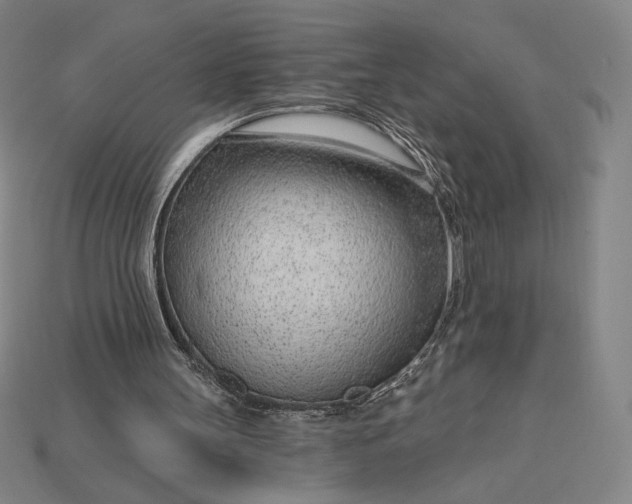 X0000115230147200911131650