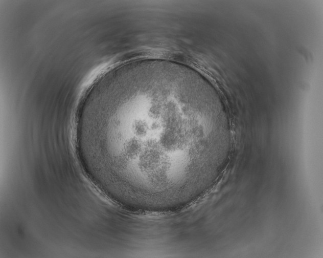 X0000115230149200911131651