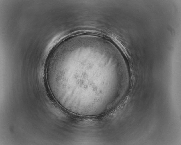 X0000115230151200911131651