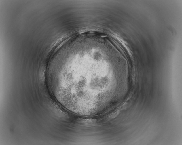 X0000115230153200911131651