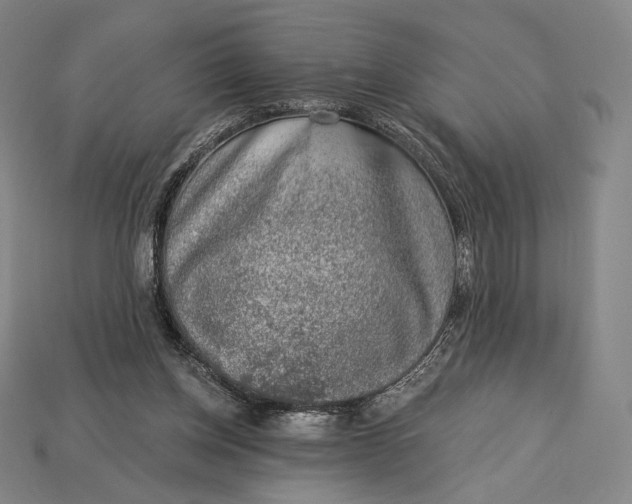 X0000115230158200911131651