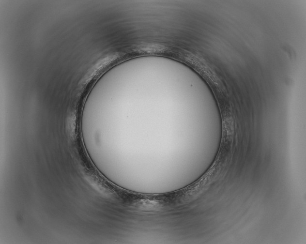 X0000115230159200911131651