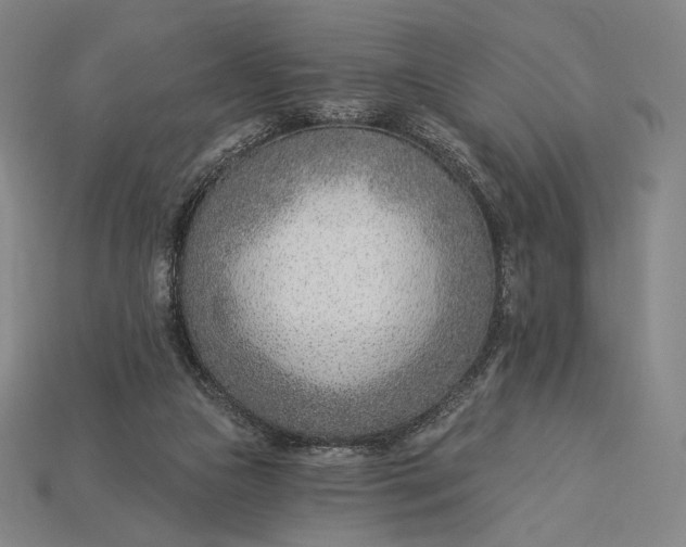 X0000115230161200911131651