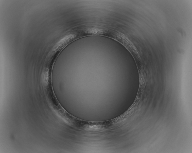 X0000115230163200911131651